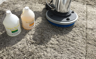 苍溪家政巧媳妇公司 专业地毯清洗全流程与设备详解